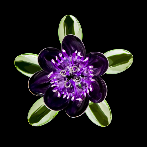 Photograph Oksana Moroziuk Flower on One Eyeland